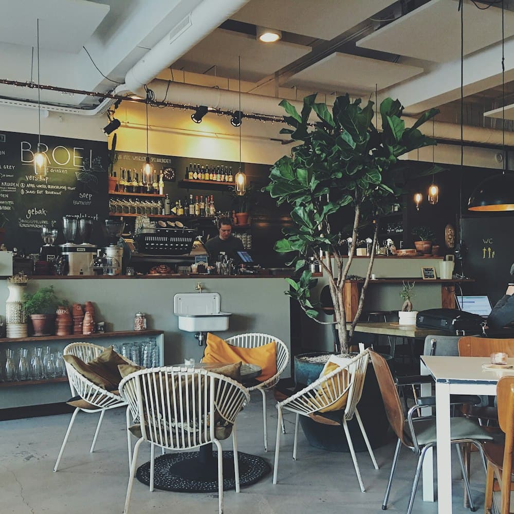 Moderne Café-Szene mit Theke, Pflanze und einer Person am Laptop